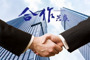 淺析經營理念和管理模式