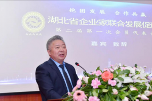 萬順叫車黨委書記、董事長兼總裁周正清當選為湖北省企業(yè)家聯(lián)合發(fā)展促進會執(zhí)行會長